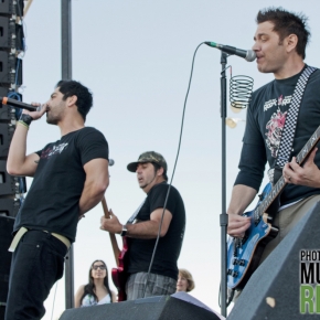 Zebrahead