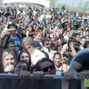 Zebrahead