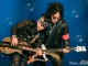 SIXX A.M. in Las Vegas by Karen Mandall